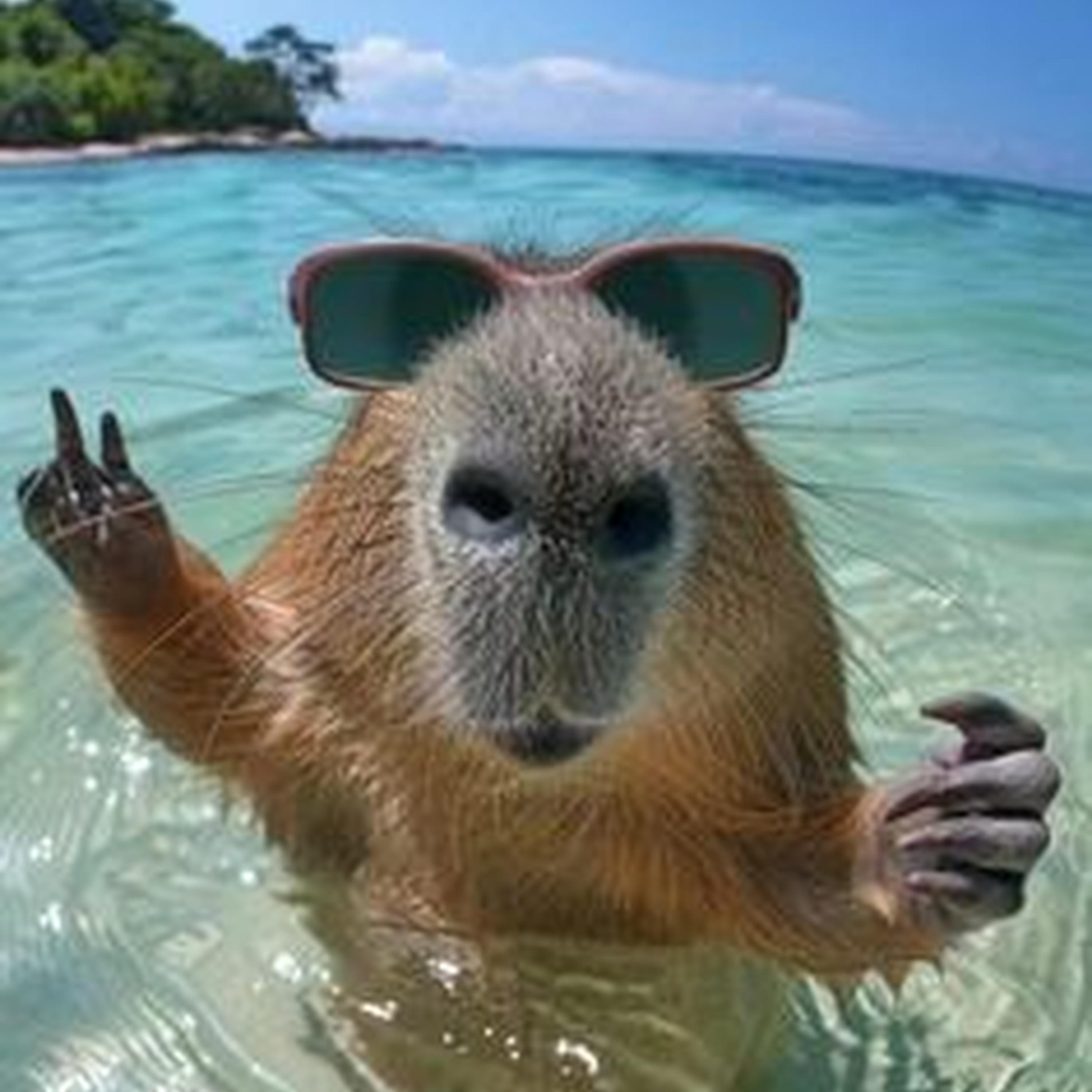 君中心に揺れる世界は (sped up)