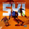 Braúlio ZP - SKI