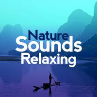 Nature Sounds Relaxing