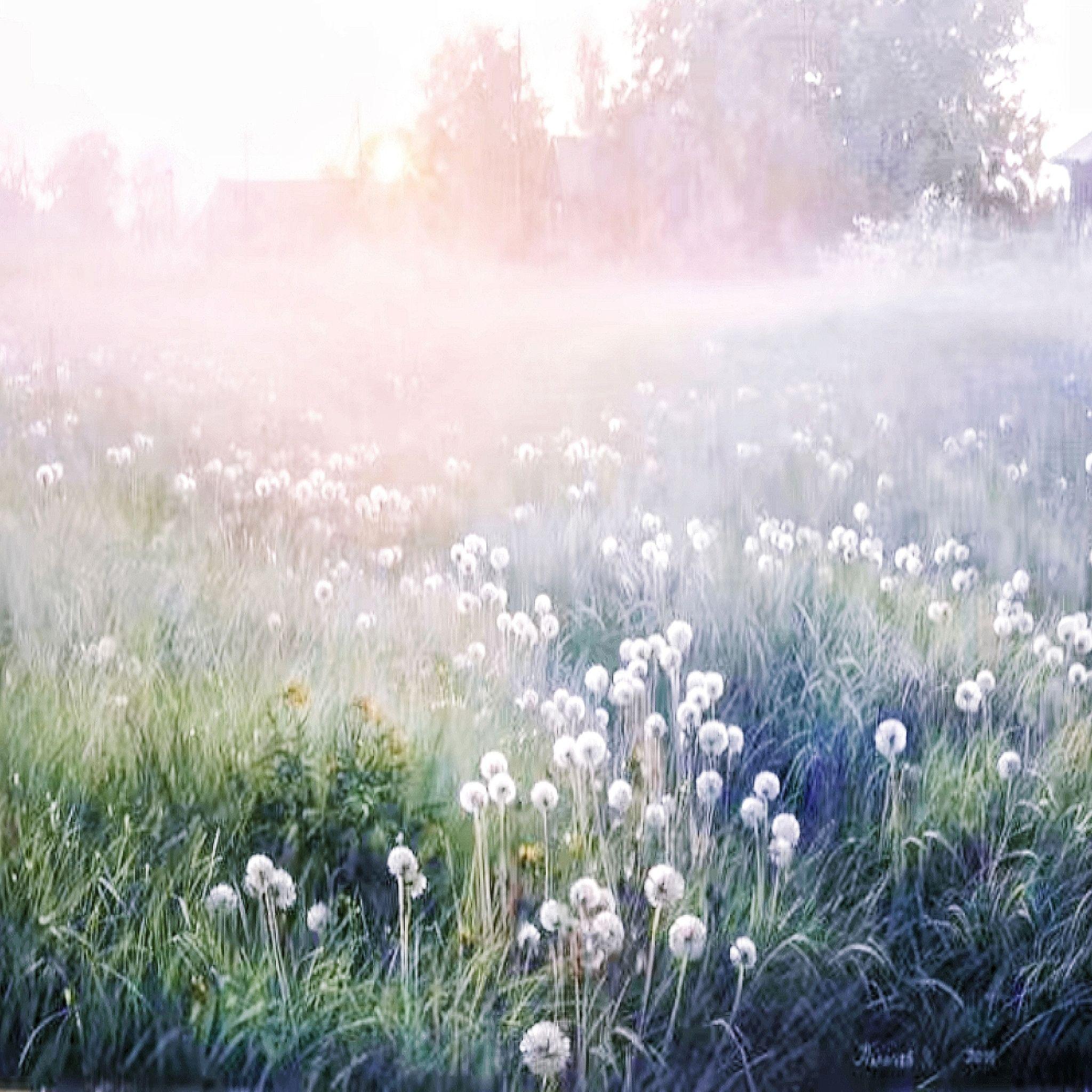 拯救我 (risya-stockholm syndrome saved REMIX VER.)