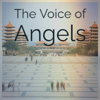 The Voice of Angels