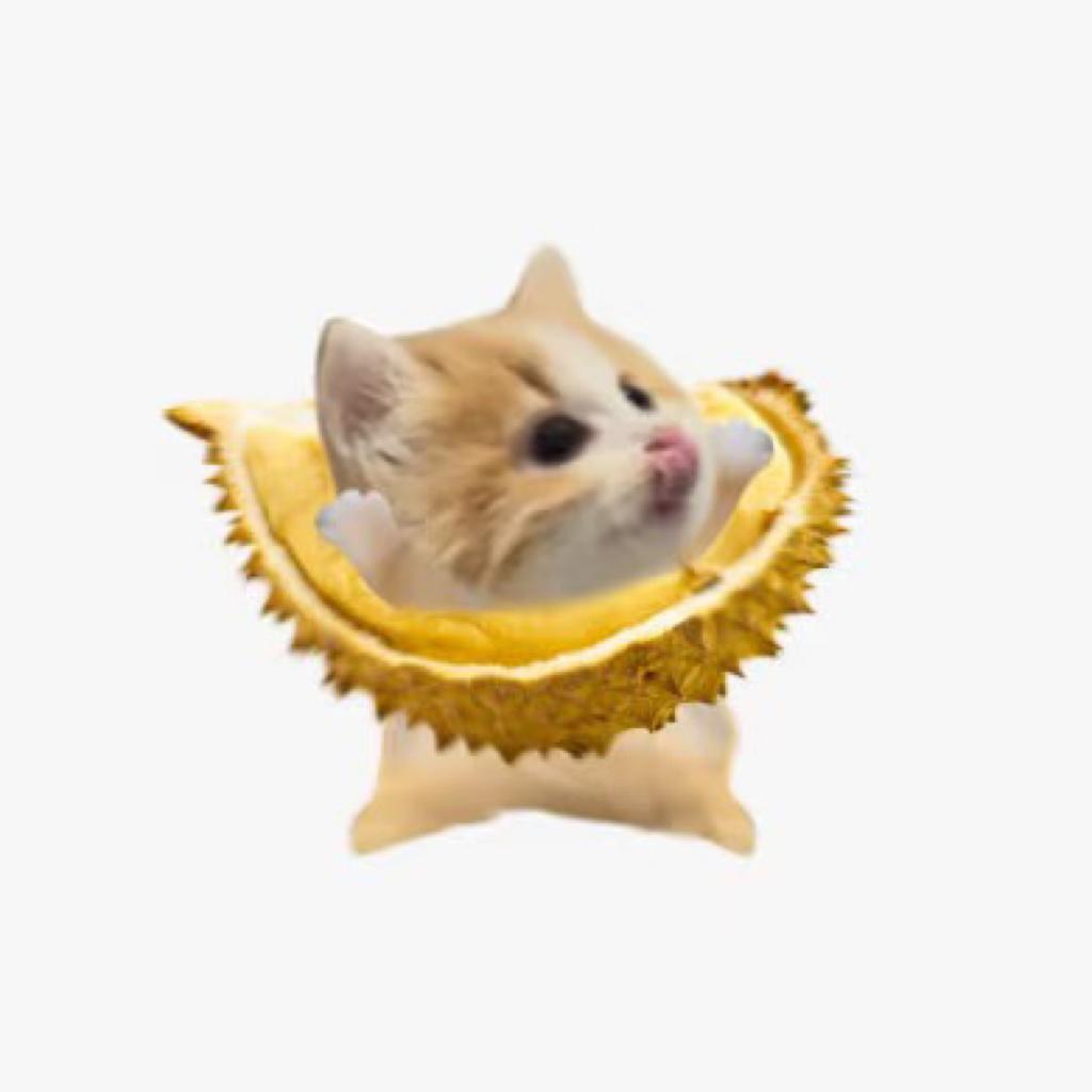 呵呵哈哈哈哈哦好吧