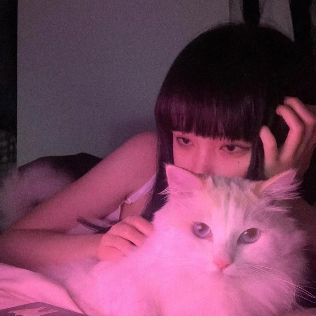 适合炒菜时听的音乐(愉悦诗篇)