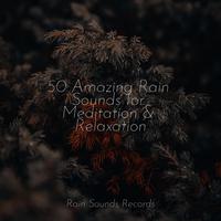 50 Amazing Rain Sounds for Meditation & Relaxation