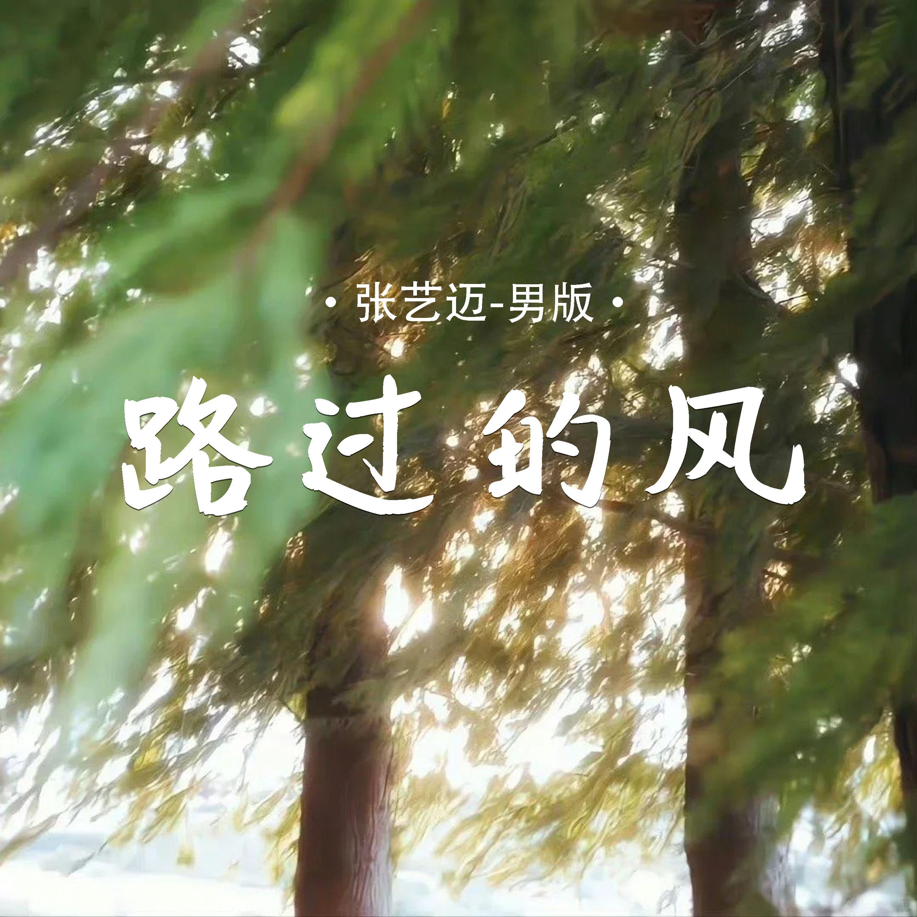 路过的风(男版)封面