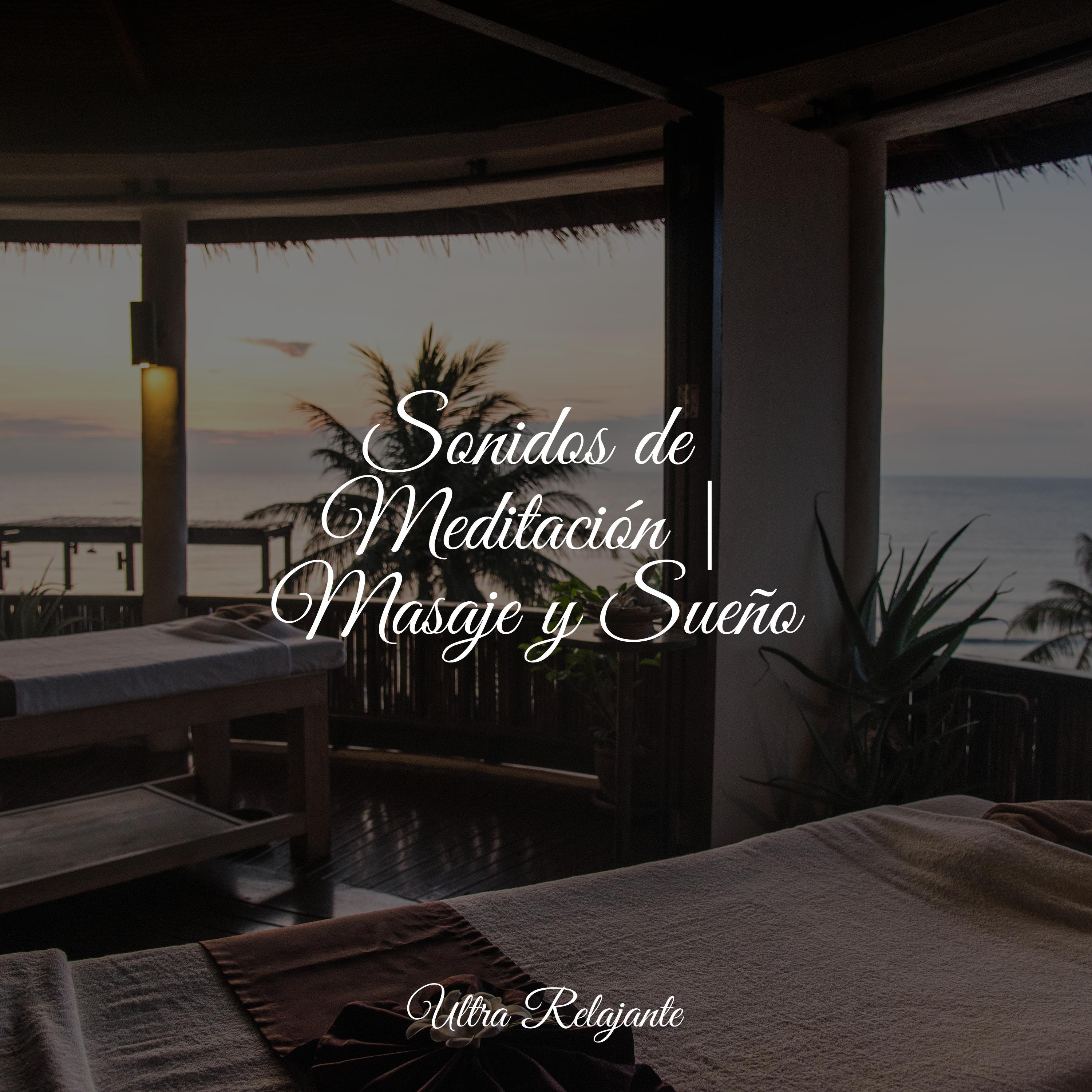 Hamaca En Los Árboles