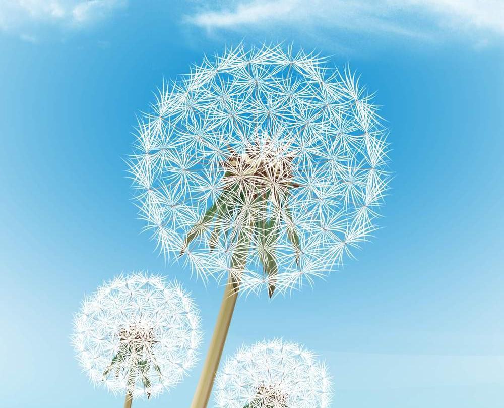 九歌传说