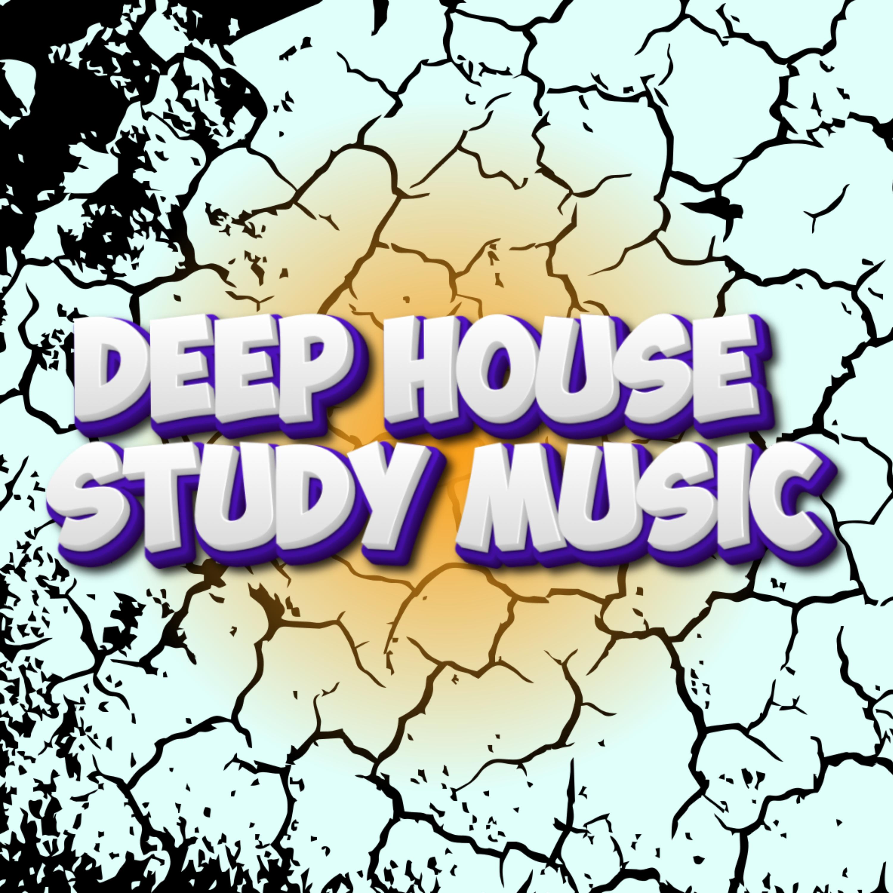 Edm Focus Music Deep House Study Music House Music For Studying Edm