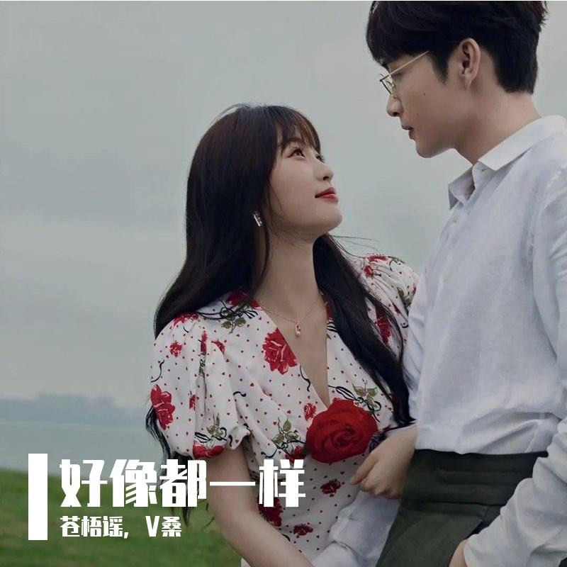 好像都一样（电视剧《两个人的小森林》片尾曲）