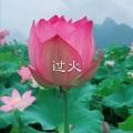 红尘情歌 (DJ版)封面