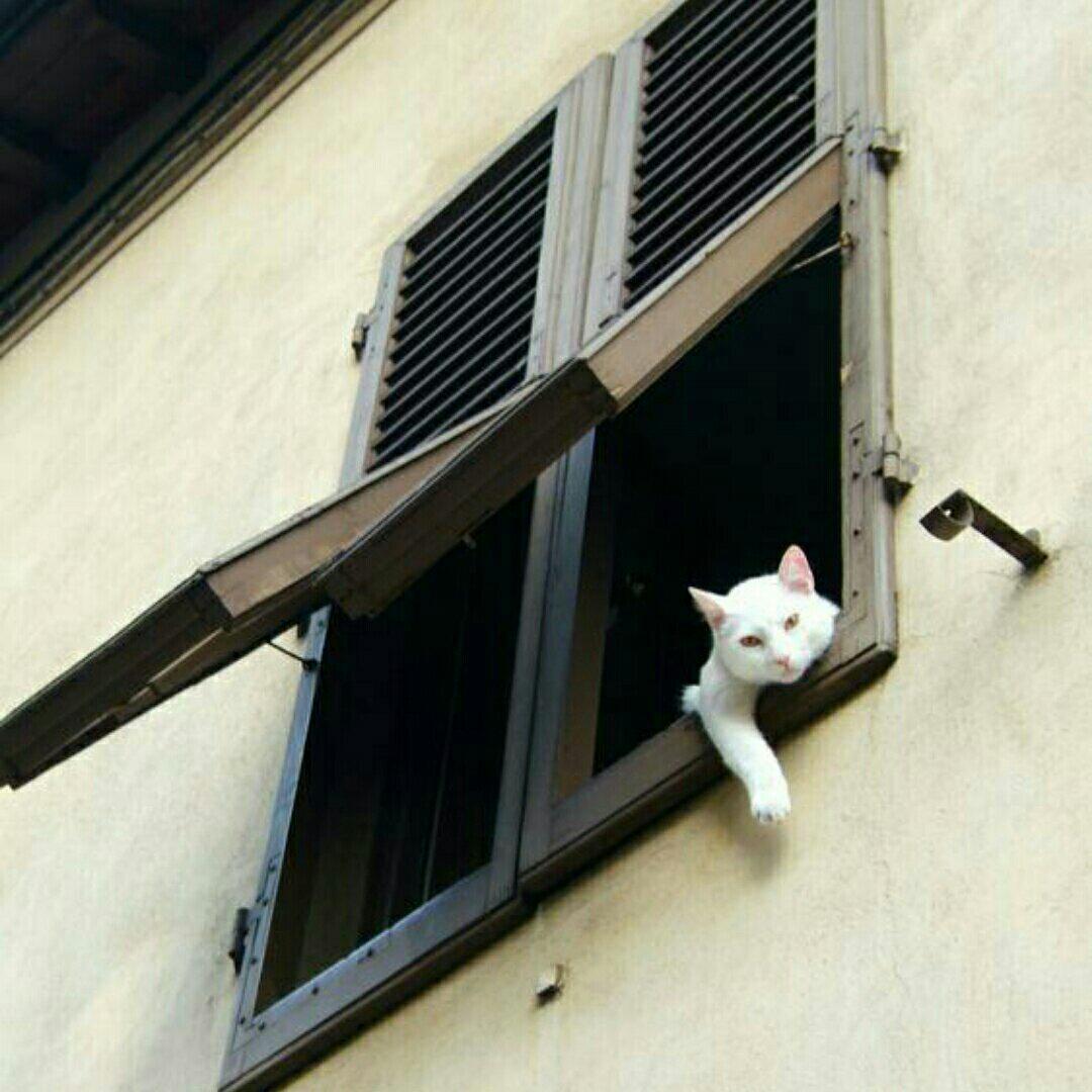 二号施肥不除草