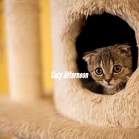 Sensual Chillout Lounge - Beautiful Ambiance for Quiet Stories