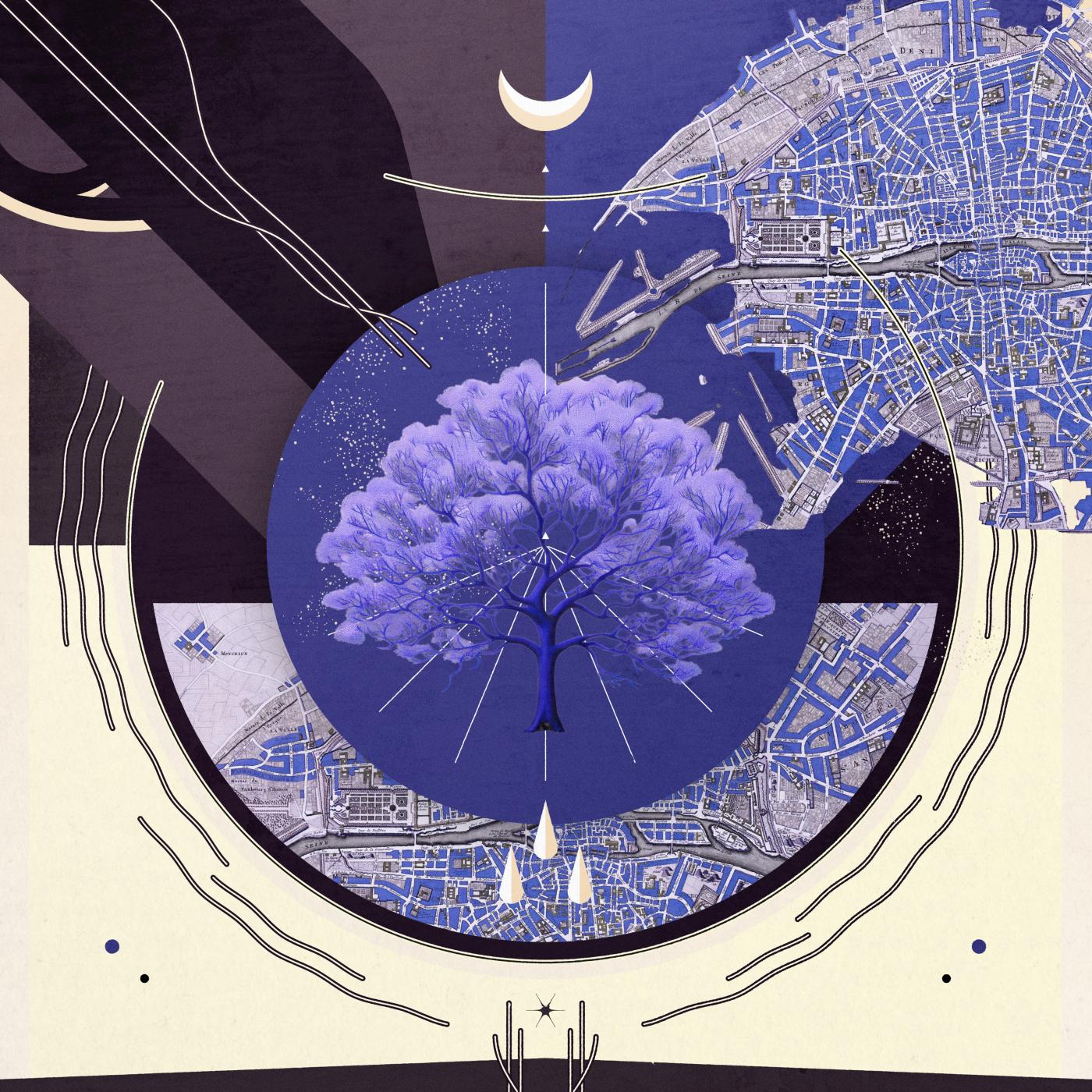 Affective Consequences