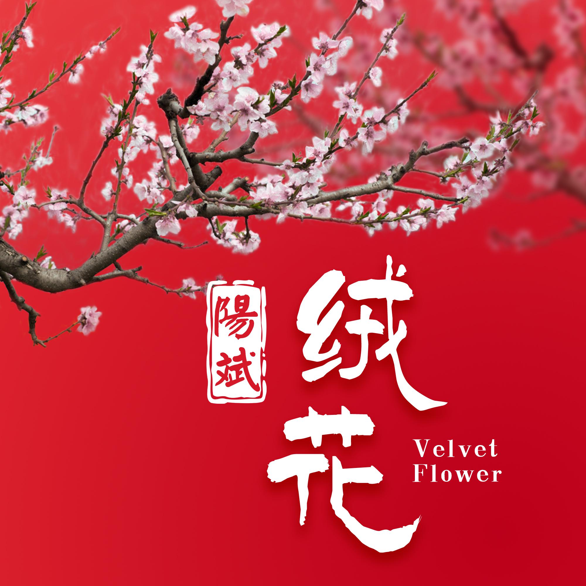 绒花黑鸭子合唱谱
