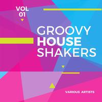 Groovy House Shakers, Vol. 1