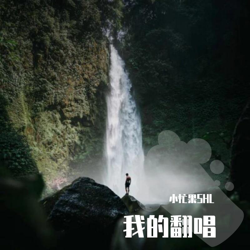 倚风听雨 - 小忙果SHL封面