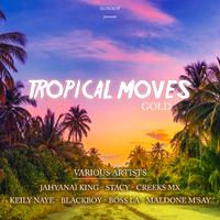 Tropical moves gold (Blockop hits compilation)