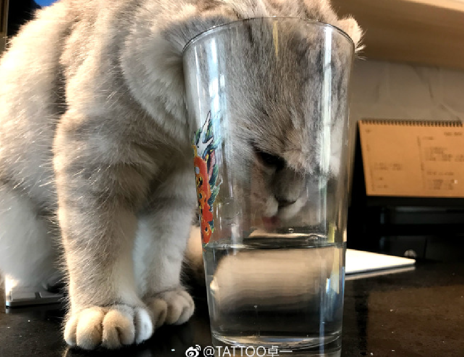 Love Song（翻自 方大同）