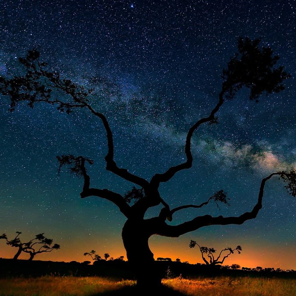 punk少年的感情之路