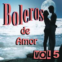 Boleros de Amor Vol 5