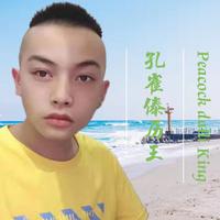 孔雀傣历王资料,孔雀傣历王最新歌曲,孔雀傣历王MV视频,孔雀傣历王音乐专辑,孔雀傣历王好听的歌