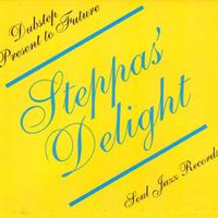 Steppas' Delight - Dubstep Present to Future