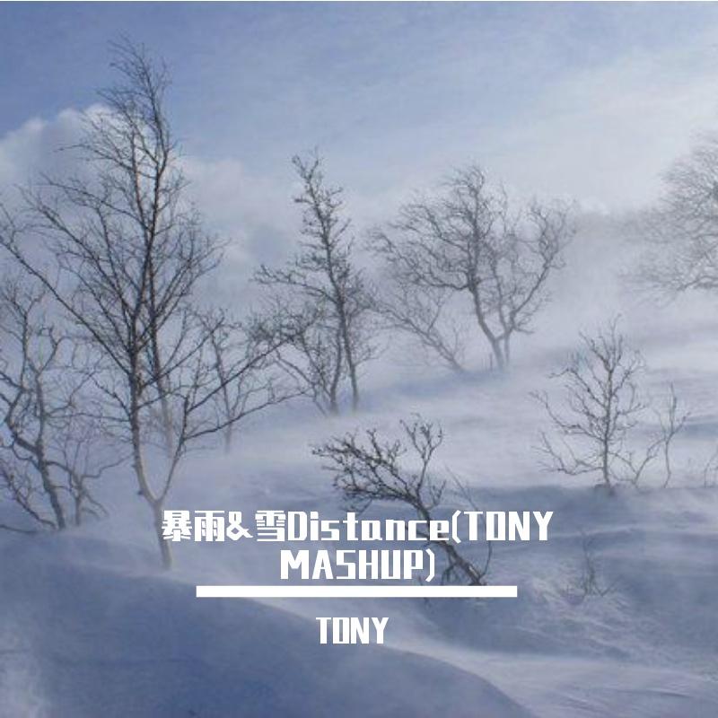 TONY-暴雨&雪Distance(TONY MASHUP)