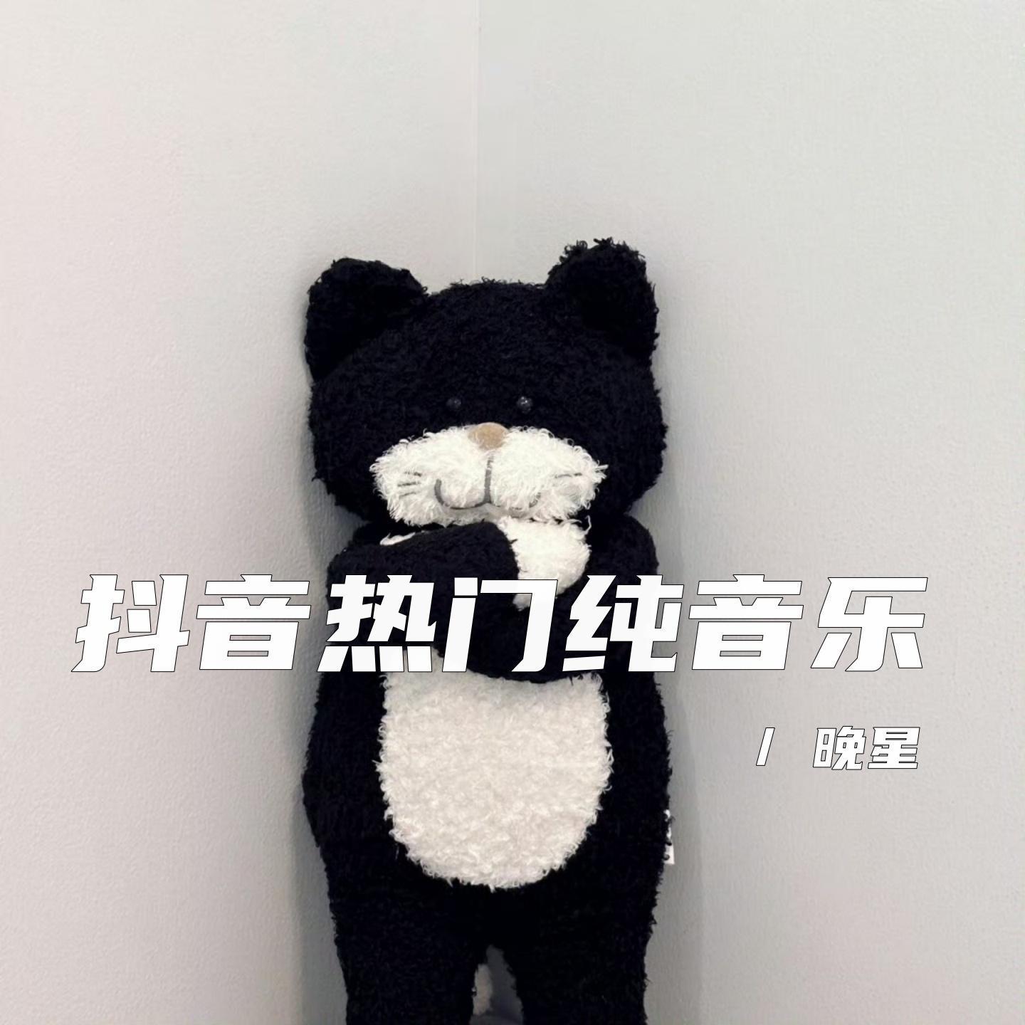 宣传片舒缓纯音乐封面