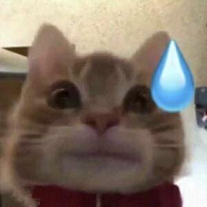 云村村民165426822359728