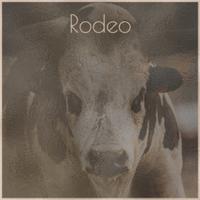 Rodeo