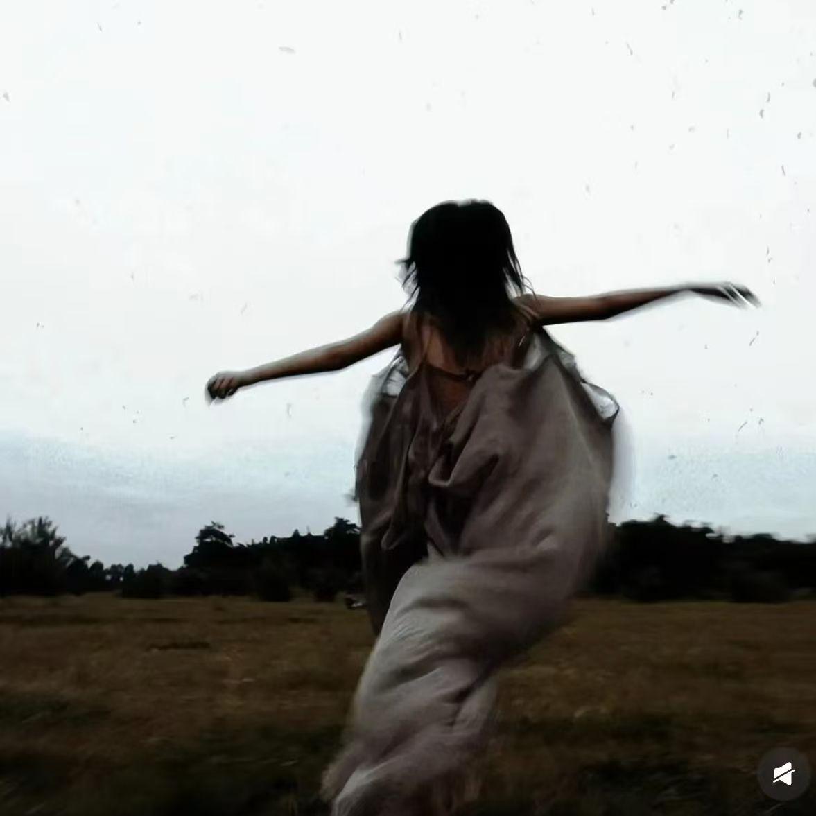 《樱花信笺》 - 随风所欲封面