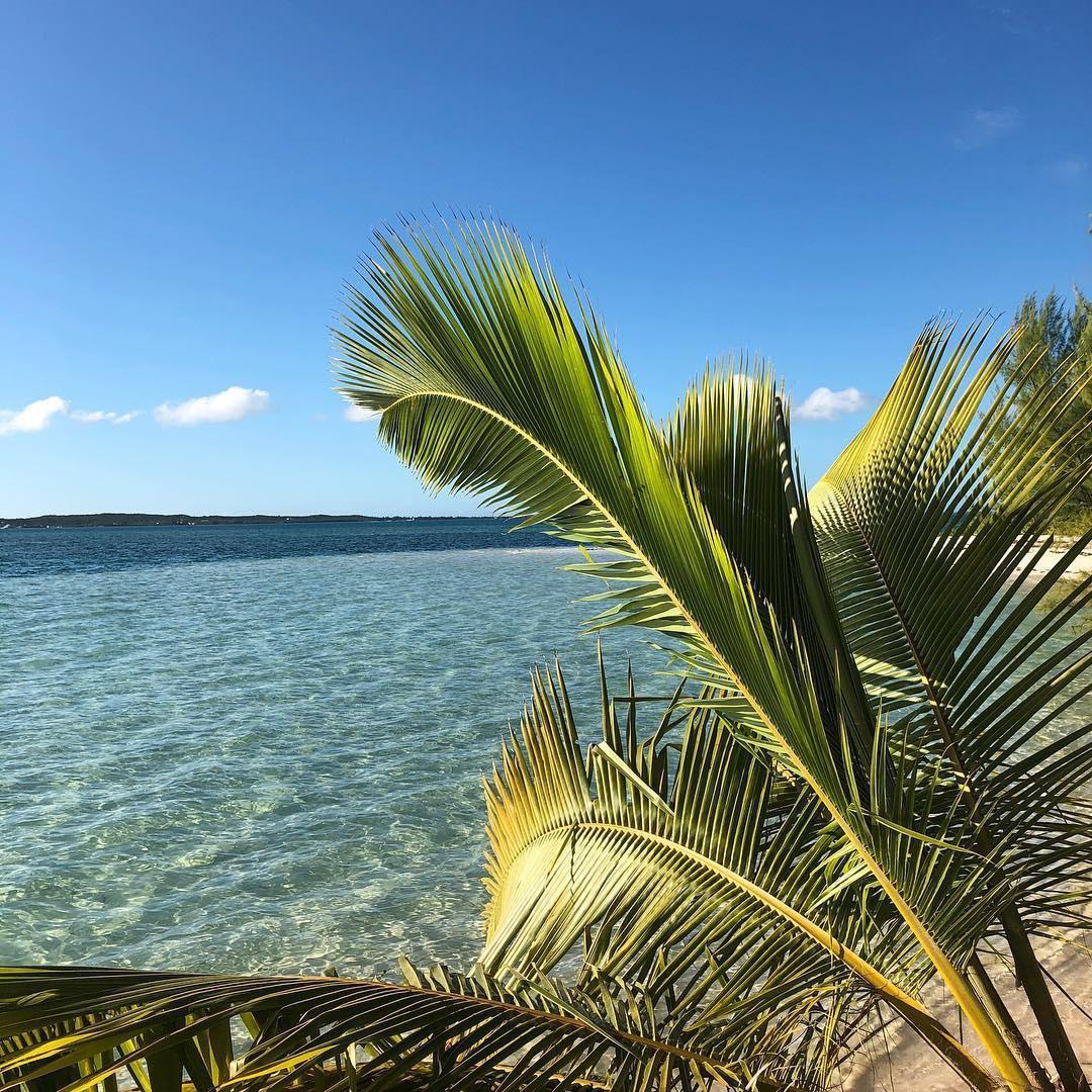 Бейнең Pt.ll