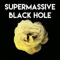 Supermassive Black Hole