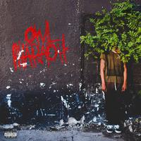 Owl Pharaoh