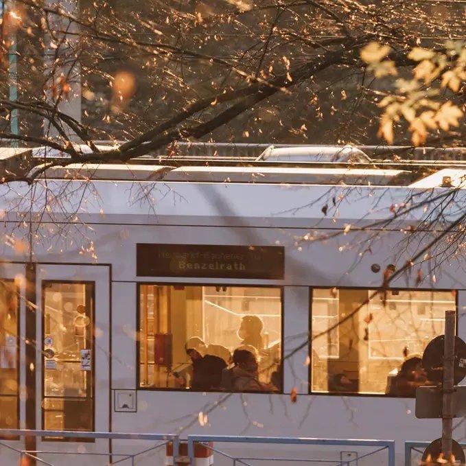 华语抒情｜写在风中的信