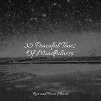 35 Peaceful Tones Of Mindfulness