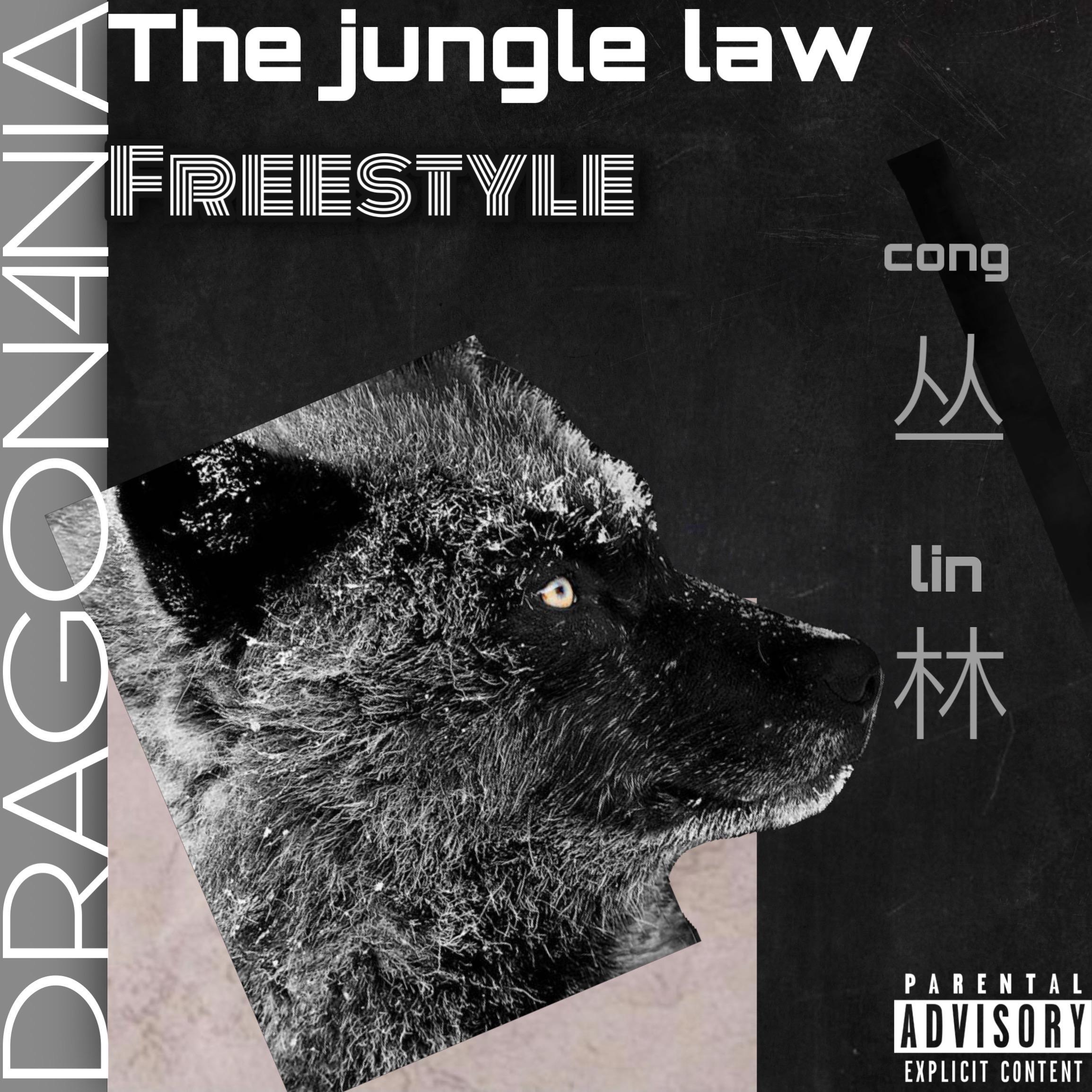 The jungle law Freestyle