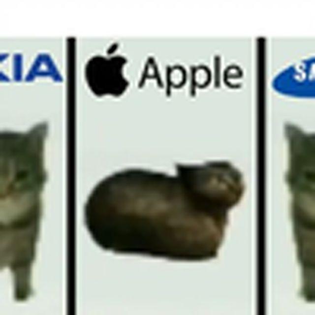 旋转小猫但著名手机铃声封面