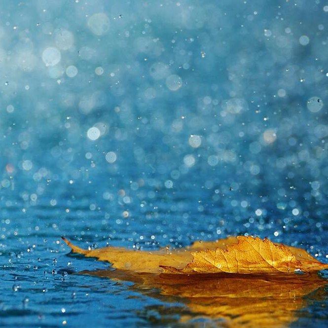 城市轻音乐 • Kevin Kern