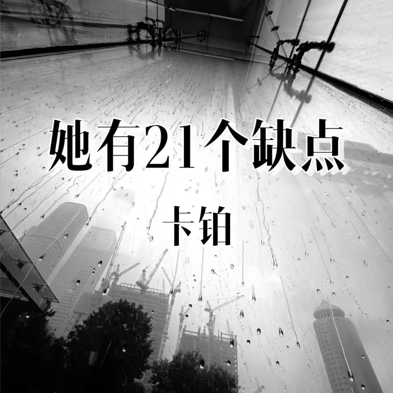 她有21个缺点封面
