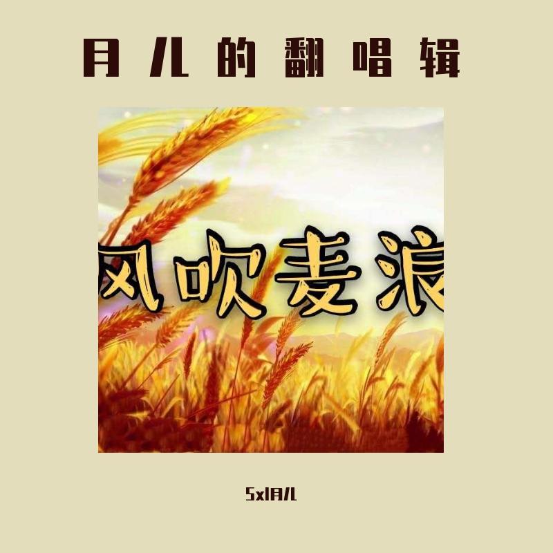 风吹麦浪（翻自 孙俪/李健）封面