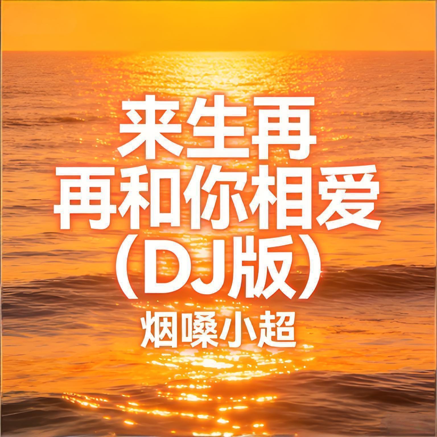 来生再和你相爱 (DJ版) - 烟嗓小超封面