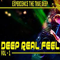 Deep Real Feel, Vol. 1 (Experience the True Deep)