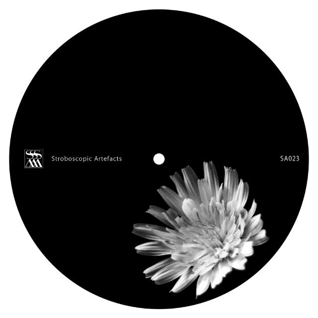 Stroboscopic Artefacts / label