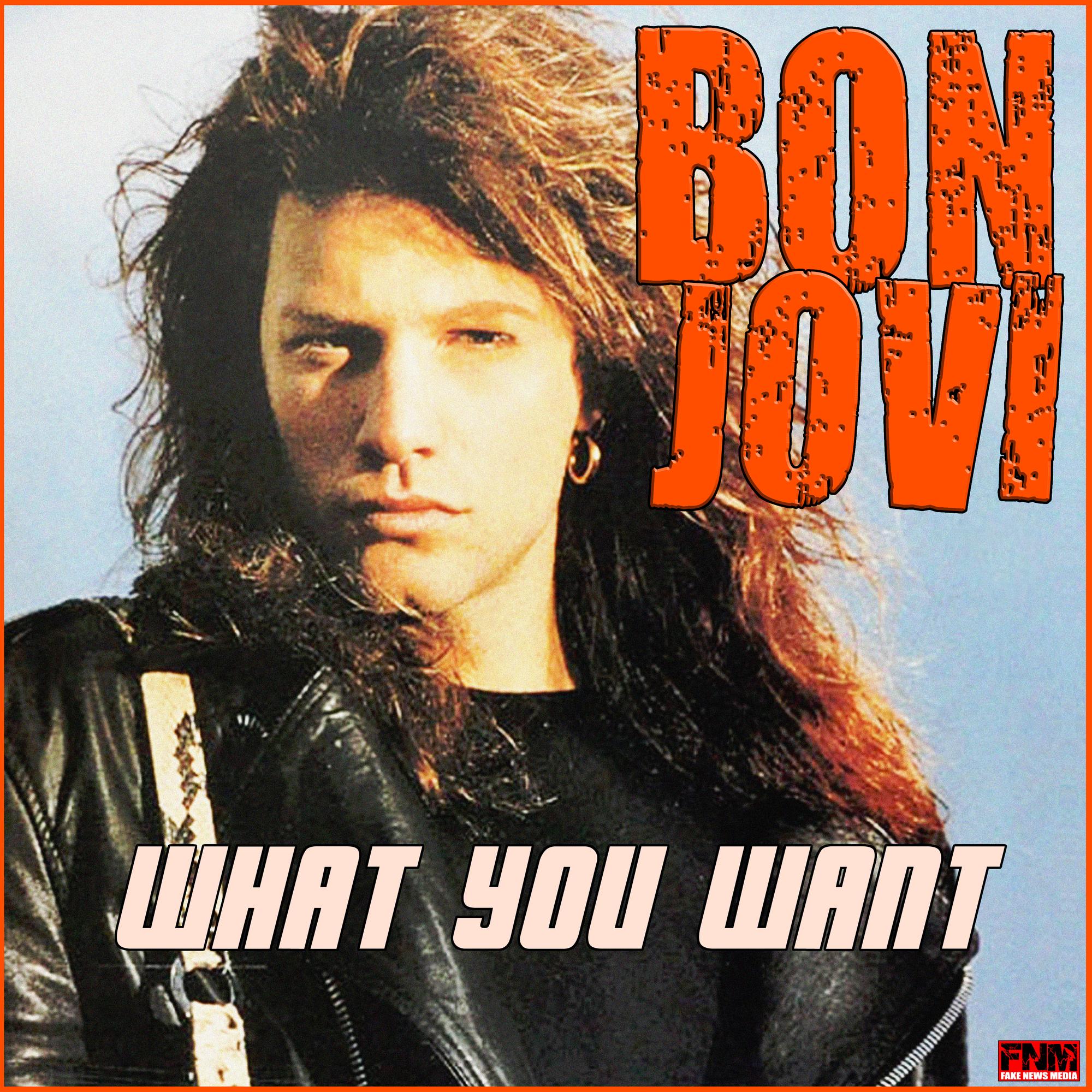 Bon Jovi ·《What You Want》
