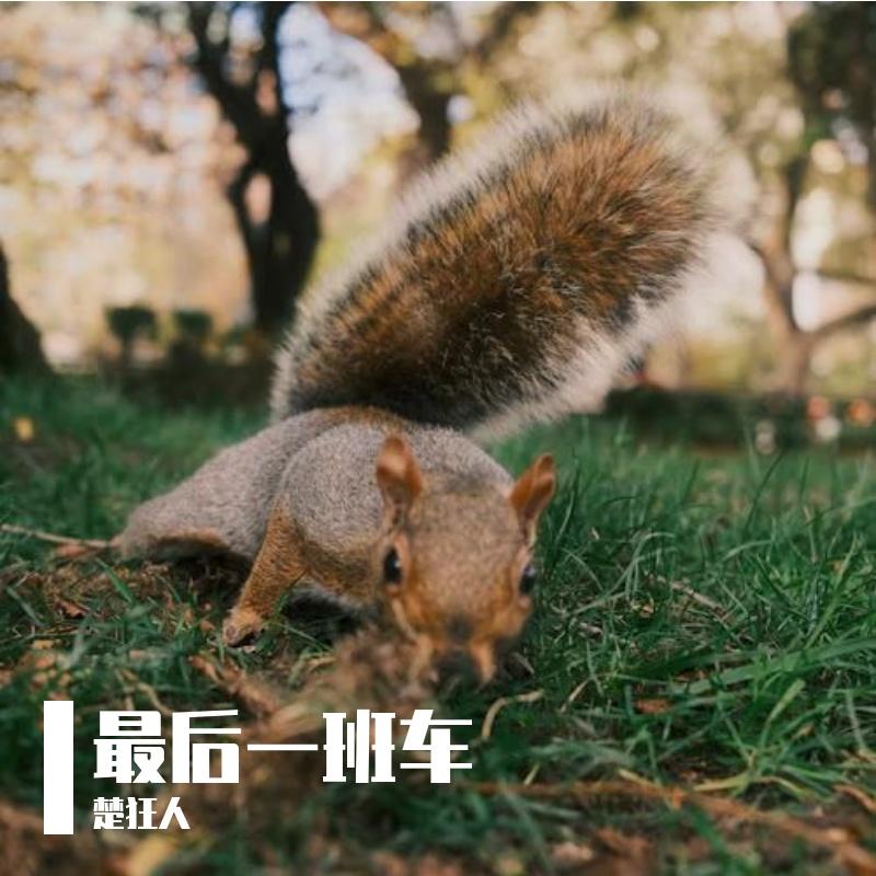 最后一班车封面