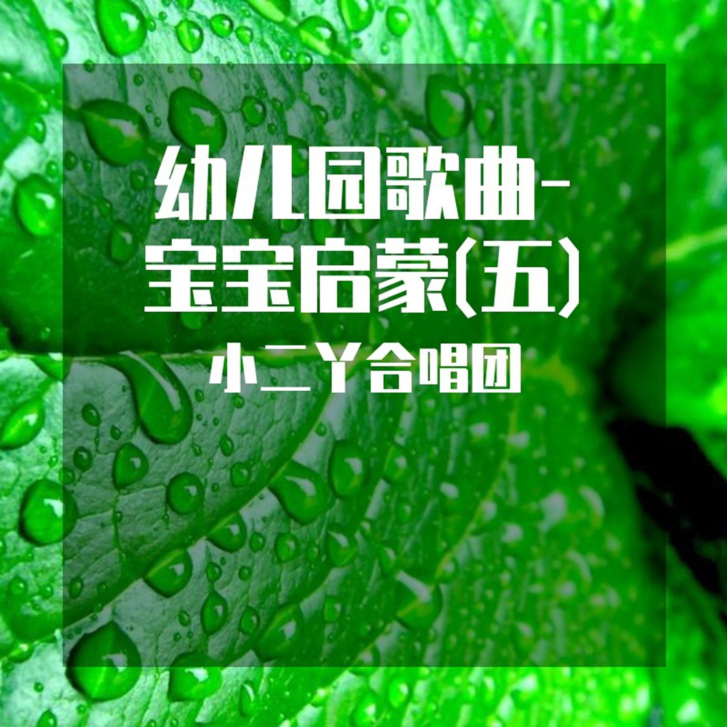 泼水歌 (幼儿园歌)封面