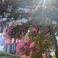 去年夏天