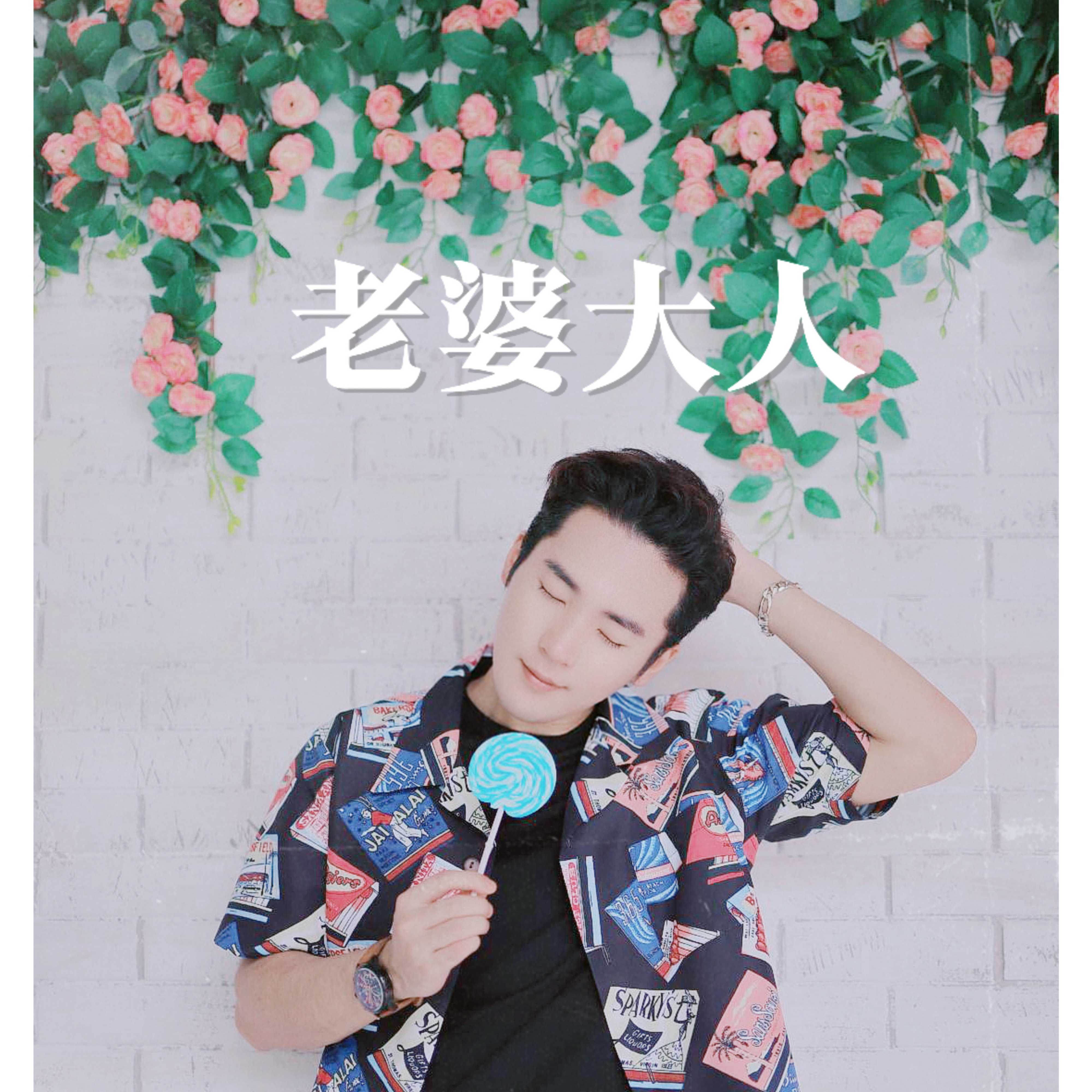 老婆大人 海報