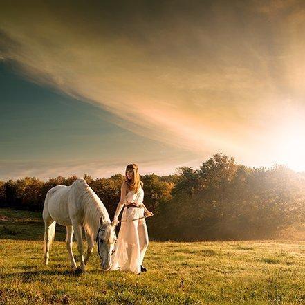 . 网易云精选纯音乐 .